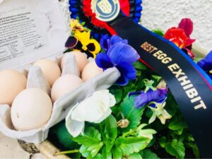 Award Winning Eggs in Ballyclare
