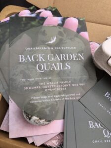 Back Garden Quails