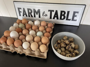 Chicken, duck, quail and goose eggs available